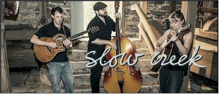 folk music alternative country and bluegrass music